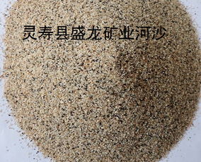 报价与信任 探索灵寿县盛龙矿产品加工厂的品牌故事